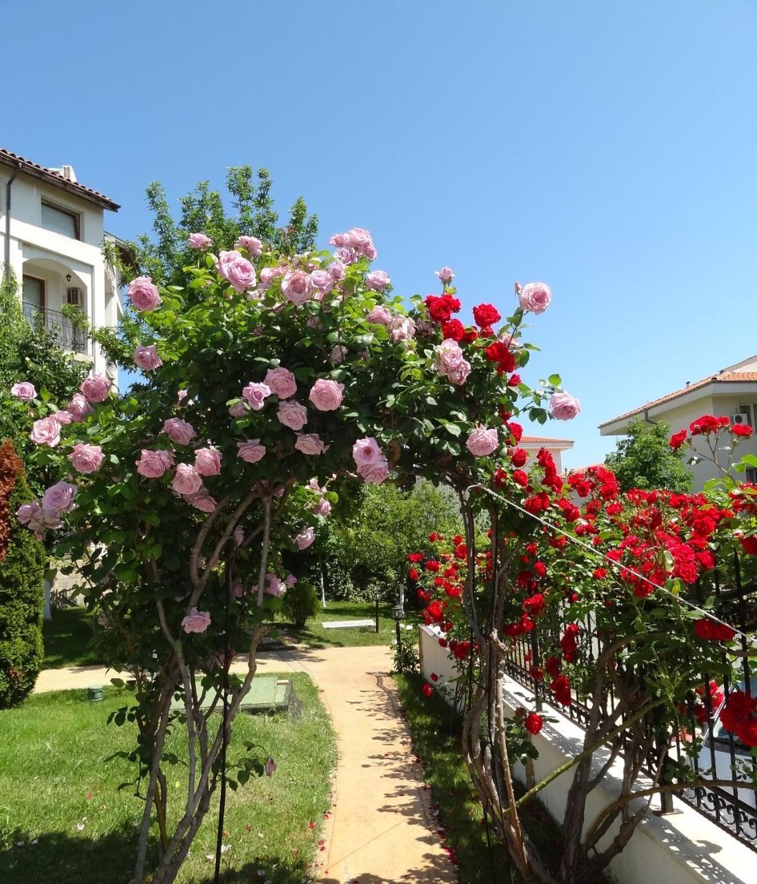 Triumph Holiday Village Sveti Vlas Ngoại thất bức ảnh
